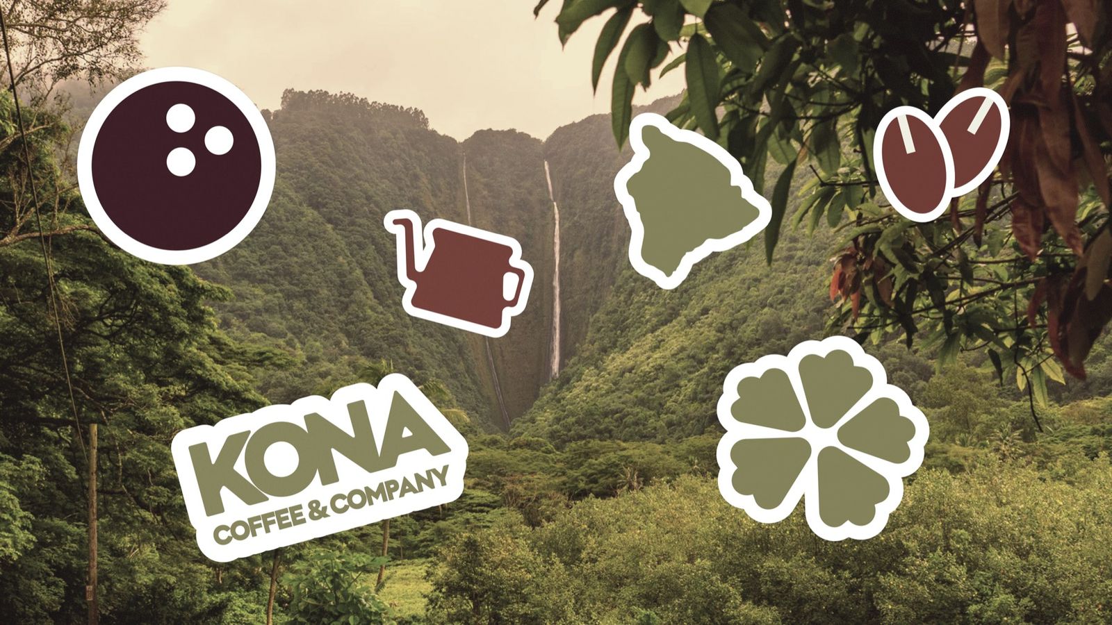 Kona Coffee Roasters, image 5 of 12